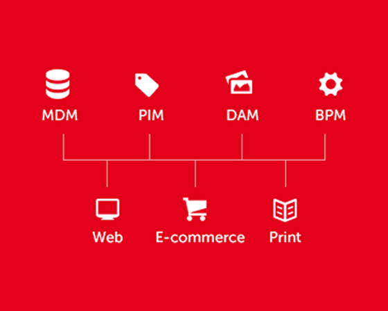 Schema from MaPS System